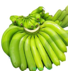 Vente en gros de bananes Cavendish jaunes vertes de haute qualité Bananes Cavendish au meilleur prix disponibles à la vente sur commandes en gros - Product Image 2