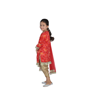 Collection de vêtements indiens et pakistanais Nigah - Product Image 3