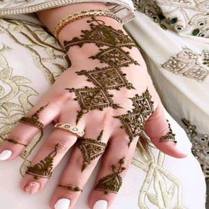 Poudre de Henné Naturel Marocain pour Teinture Capillaire & Art Corporel Mehndi – Vente en Gros, Marque Privée, Fournisseur OEM, Exportation, Tamisage Fin, USA - Product Image 1