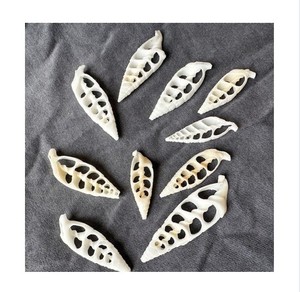 Rodajas de concha Strombus para arte de resina y aplicaciones de concha decorativa en embalaje a granel - Product Image 1