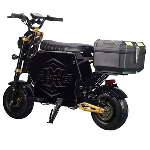 Scooter Eléctrico Industrial GT-M6 para Bricolaje, 300 km de Autonomía, Batería de 60V/72V 100Ah, Todoterreno, Alta Capacidad - Product Image 2