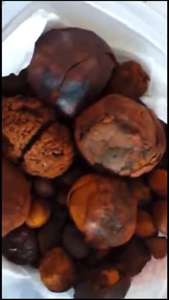 Cálculos biliares de buey de alta calidad/cálculos biliares de ganado/cálculos biliares de animales en venta - Product Image 6