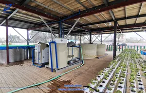 Machine de traitement de l'eau qihanras, recirculation, équipement d'élevage de poissons ras, système d'aquaponie d'aquaculture