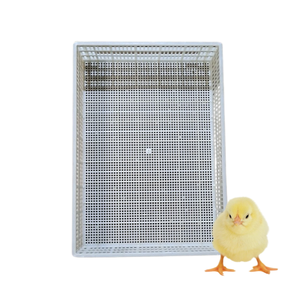 Nuevo diseño, entrega rápida, suelo de listones de plástico para aves de corral, equipo personalizable para aves de corral de pato del fabricante de Vietnam - Product Image 6