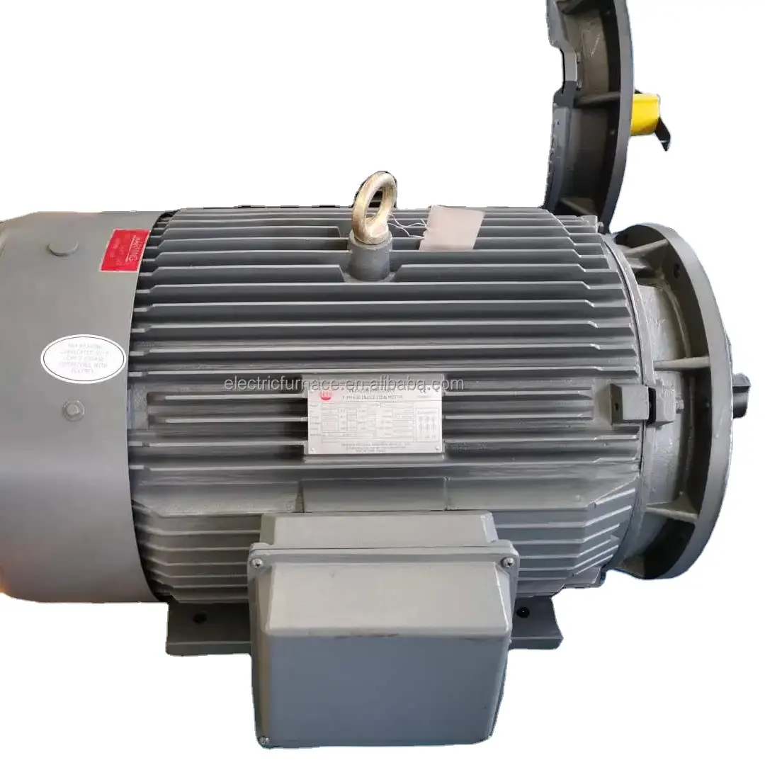 Điện áp cao 450 HP động cơ NEMA động cơ điện