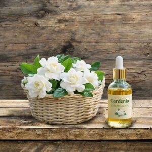 Huile essentielle de gardénia naturelle pour les soins de la peau et des cheveux, disponible aux meilleurs prix et à des prix compétitifs, conditionnée en 25 kg et 180 kg. - Product Image 2