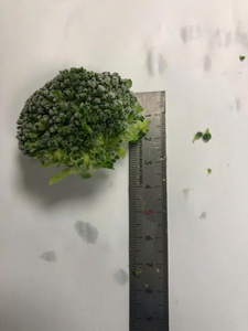 Gran cantidad de brócoli al mejor precio de un proveedor vietnamita listo para exportar - Product Image 5