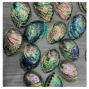 Acabado pulido de concha de abulón de alta calidad de Vietnam para joyería Marquetería Venta de material artesanal premium - Product Image 1