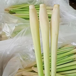 Hierba de limón congelada IQF-Hierba de limón en rodajas/Hierba de limón picada para exportación de productos de verduras congeladas-PROVEEDOR VIETNAM/Sra. Selina - Product Image 1