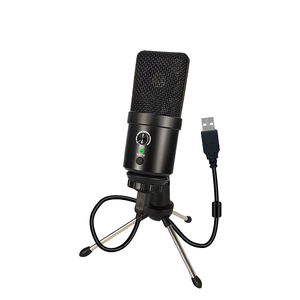 Micrófono inalámbrico de karaoke de 50 canales - Product Image 1