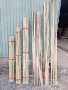 ไม้ไผ่ขายส่งจากเวียดนามสำหรับงานก่อสร้างรั้ว โครงการตกแต่ง และโซลูชั่นที่เป็นมิตรต่อสิ่งแวดล้อม - Product Image 3