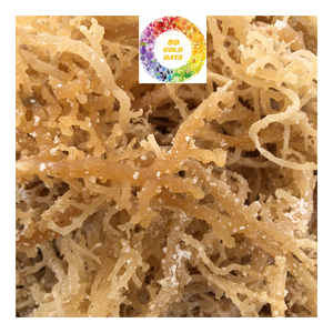 Venta al por mayor de algas secas Premium de musgo de mar irlandés limpio Eucheuma Cottonnii calidad de gran tamaño ideal para ensalada Seamoss - Product Image 1