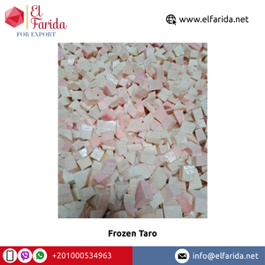 Best Selling 100% Natural Nutritious <b>Fresh</b> White <b>Taro</b> (Colocasia) Excellent Quality for Bulk Purchase - Product Image 6