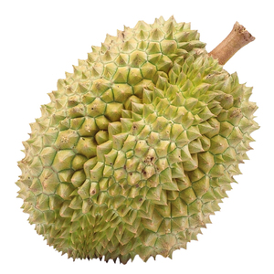 Monthong Durian al por mayor, alta calidad, fresco y suministro a granel, el mejor precio - Product Image 5