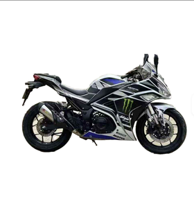 Motocicleta Deportiva Profesional 255s de 300cc para Adultos, Motocicleta Todoterreno de Gasolina para Carreras, MÁS VENDIDA - Product Image 1