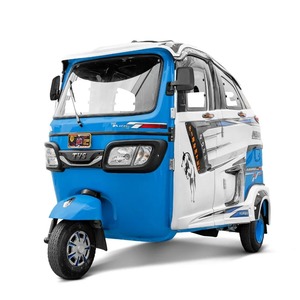 Tricycle électrique fermé <span class=keywords><strong>bleu</strong></span> à 3 roues 48V 501-800W pour <span class=keywords><strong>le</strong></span> transport urbain - Product Image 6
