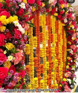 Chaîne décorative indienne de souci, guirlande, tenture murale, chaîne décorative de porte, décor à la maison, guirlande indienne de souci, fleur - Product Image 3