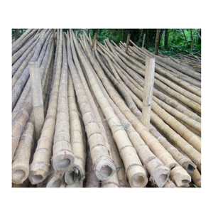 เสาไม้ไผ่คุณภาพสูงสำหรับส่งออกเสาไม้ไผ่ธรรมชาติทนทาน - Product Image 1