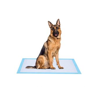Super Soft Dog and Puppy Leak-proof 5-Layer Pet Pee <b>Pad</b> - Product Image 1