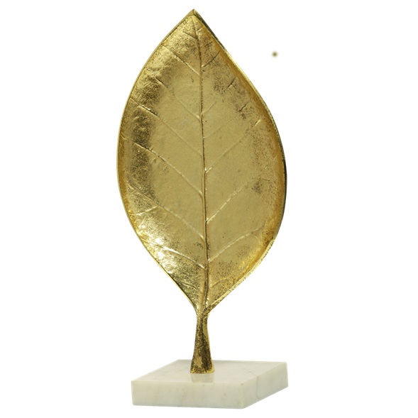 ตามที่แสดง