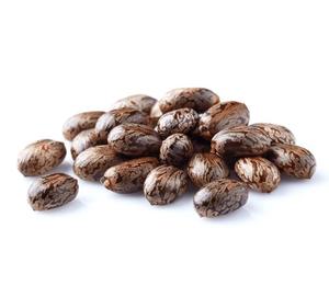 Semillas de ricino de alta calidad para fábrica agrícola al por mayor personalizables en colores brillantes - Product Image 5