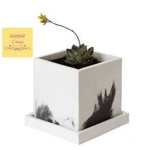 กระถางดอกไม้ - Product Image 5