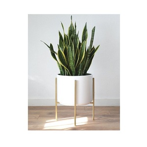 กระถางปลูกต้นไม้แบบทำมือ,กระถางหวายสำหรับแขวนผนังแบบสานเชือกดีไซน์และขนาดเอง - Product Image 3