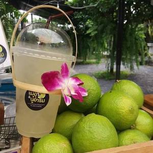 Mango de taza de bambú hecho a mano de Vietnam para tiendas de bebidas y uso diario de bebidas - Product Image 1