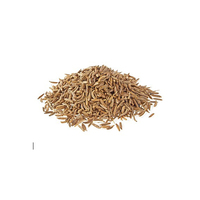 Graines de cumin séchées AD de qualité supérieure, 100 % naturelles et saines du Brésil, en promotion à prix avantageux