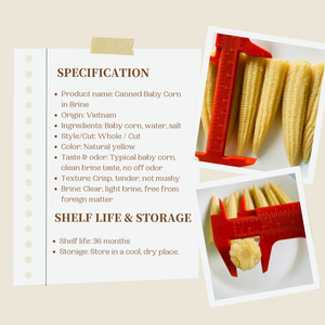 Maïs en conserve du Vietnam en saumure, fournisseur en gros pour la restauration et la transformation, OEM KMI - Product Image 3
