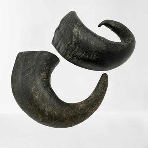 Agua natural Cuerno de búfalo Masticables para perros Golosinas ideales para dientes y encías saludables que promueven el bienestar canino general - Product Image 2