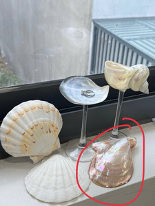 Copa de vino de concha marina Premium, artículo decorativo versátil hecho a mano que se ofrece en venta al por mayor - Product Image 5