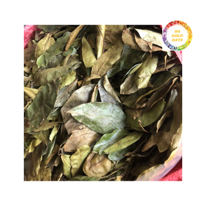 ใบทุเรียนเทศแห้งคุณภาพดีและราคาดีที่สุดจากเวียดนามพร้อมส่งออก - Product Image 2