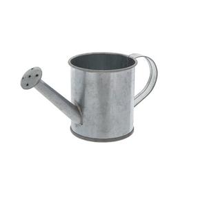 Vendedor caliente plantas de interior y exterior regadera decorativa caña de agua de Metal luz plata Color jardín maceta titular - Product Image 3