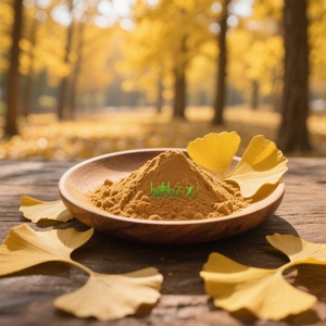 Thực phẩm cấp <span class=keywords><strong>Ginkgo</strong></span> <span class=keywords><strong>Biloba</strong></span> lá chiết xuất 10:1 20:1 thảo dược bổ sung <span class=keywords><strong>Ginkgo</strong></span> <span class=keywords><strong>Biloba</strong></span> chiết xuất <span class=keywords><strong>Ginkgo</strong></span> lá chiết xuất bột - Product Image 2