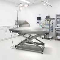 Table d'opération vétérinaire électrique en acier inoxydable 304, lit de chirurgie pour animaux de petite taille pour hôpital vétérinaire, pédale ACS02