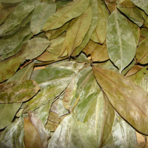 Ventas al por mayor 100% té de hierbas naturales Hojas de Guanábana secas vietnamitas - Product Image 3