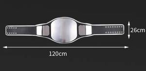 Oem&odm High Quality Manufacture Custom Wrestling Championship Belt Mma Boxing Championship Belt - Product Image 6