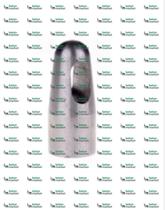 Perno Roscado para Bomba de Hormigón - SCHWING - Product Image 2