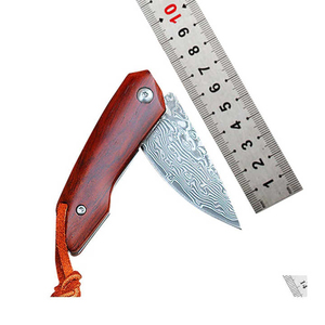 Cuchillo de cocina de hoja fija de acero de Damasco de grado Industrial de alto carbono mango de madera resistente Premium forjado Pakistán - Product Image 2