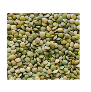 Lentilles séchées entières de qualité supérieure en vrac, lentilles rouges, lentilles vertes - Product Image 1