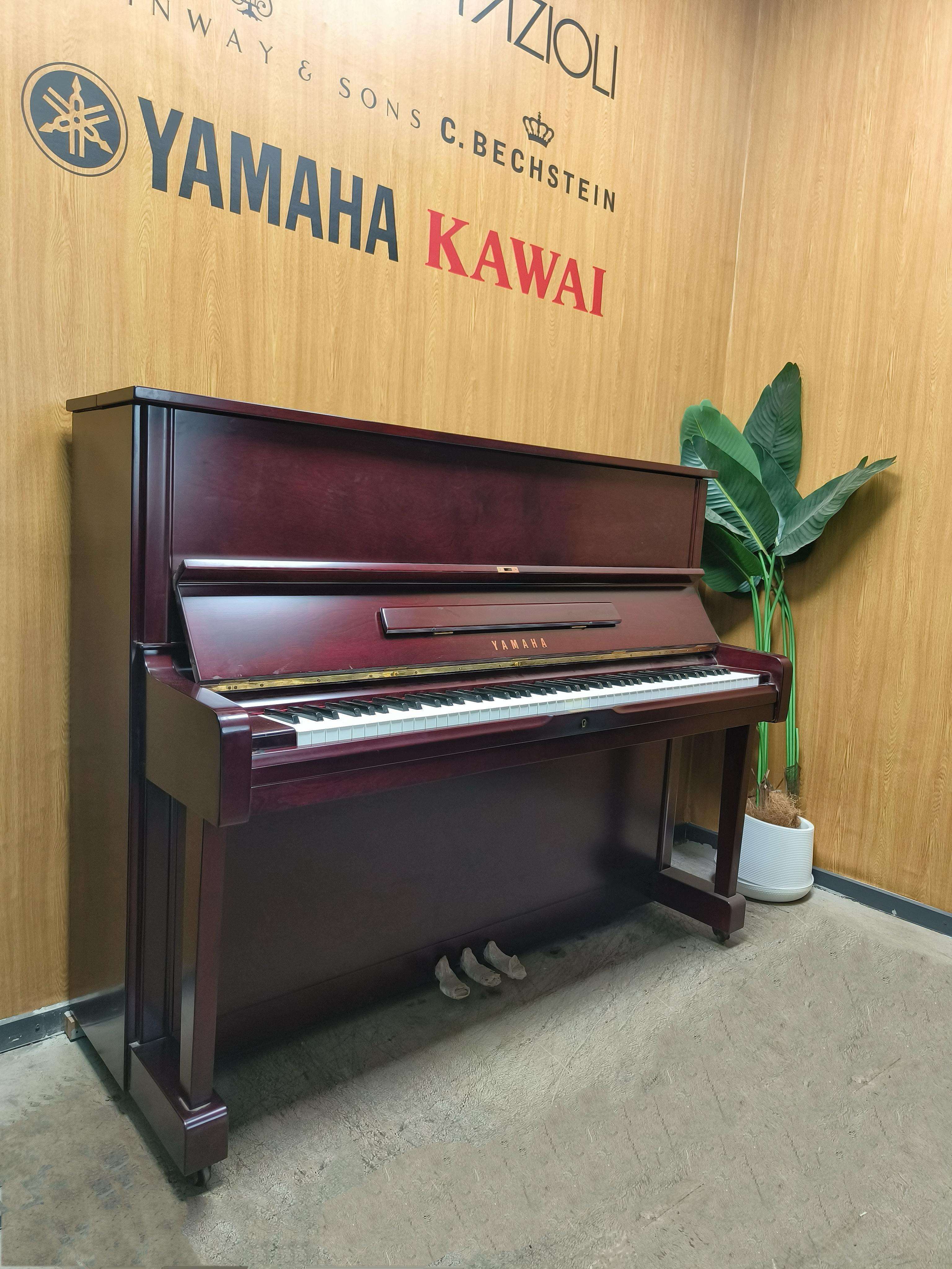 สี มะฮอกกานี