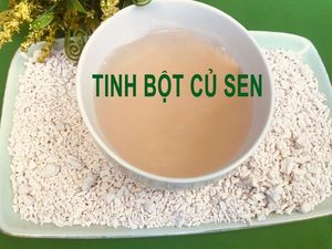 แป้งรากบัวคุณภาพส่งออกสำหรับอุตสาหกรรมอาหาร ราคาดีที่สุดจากเวียดนาม - Product Image 5