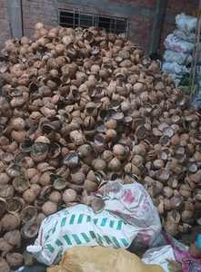 เปลือกมะพร้าวดิบคุณภาพสูงสำหรับงานฝีมือและการผลิตถ่านเหมาะสำหรับผู้ซื้อจำนวนมากและส่งออกสินค้าจากเวียดนาม - Product Image 4