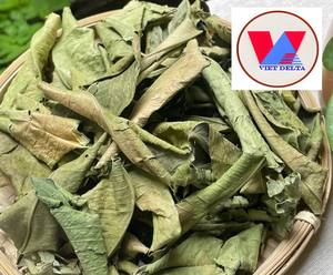 ใบส้มโอแห้งธรรมชาติ 100% ใบหอมสำหรับทำอาหาร สปา และการบำบัดเพื่อสุขภาพ คุณภาพพรีเมียมสำหรับการส่งออก - Product Image 2