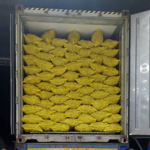 Gingembre frais de qualité supérieure pour l'exportation et la vente en gros - Product Image 4