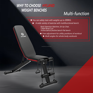 Banc de musculation réglable pour abdominaux, haltères et press d'épaules, <span class=keywords><strong>avec</strong></span> extension et flexion des jambes pour entraînement à domicile - Product Image 5