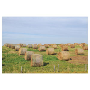 Heno de pasto al por mayor ofrecido en volumen, suministro confiable de bajo precio listo para exportación - Product Image 3