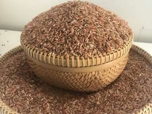 Arroz Rojo y marrón de alta exportación, venta al por mayor, en cantidad, arroz marrón rojo, vacaciones de Vietnam - Product Image 3