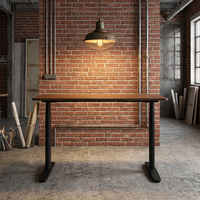 Bureau assis-debout électrique à double moteur dissimulé, 3 niveaux, pieds ovales robustes, hauteur réglable, ergonomique, pour le bureau